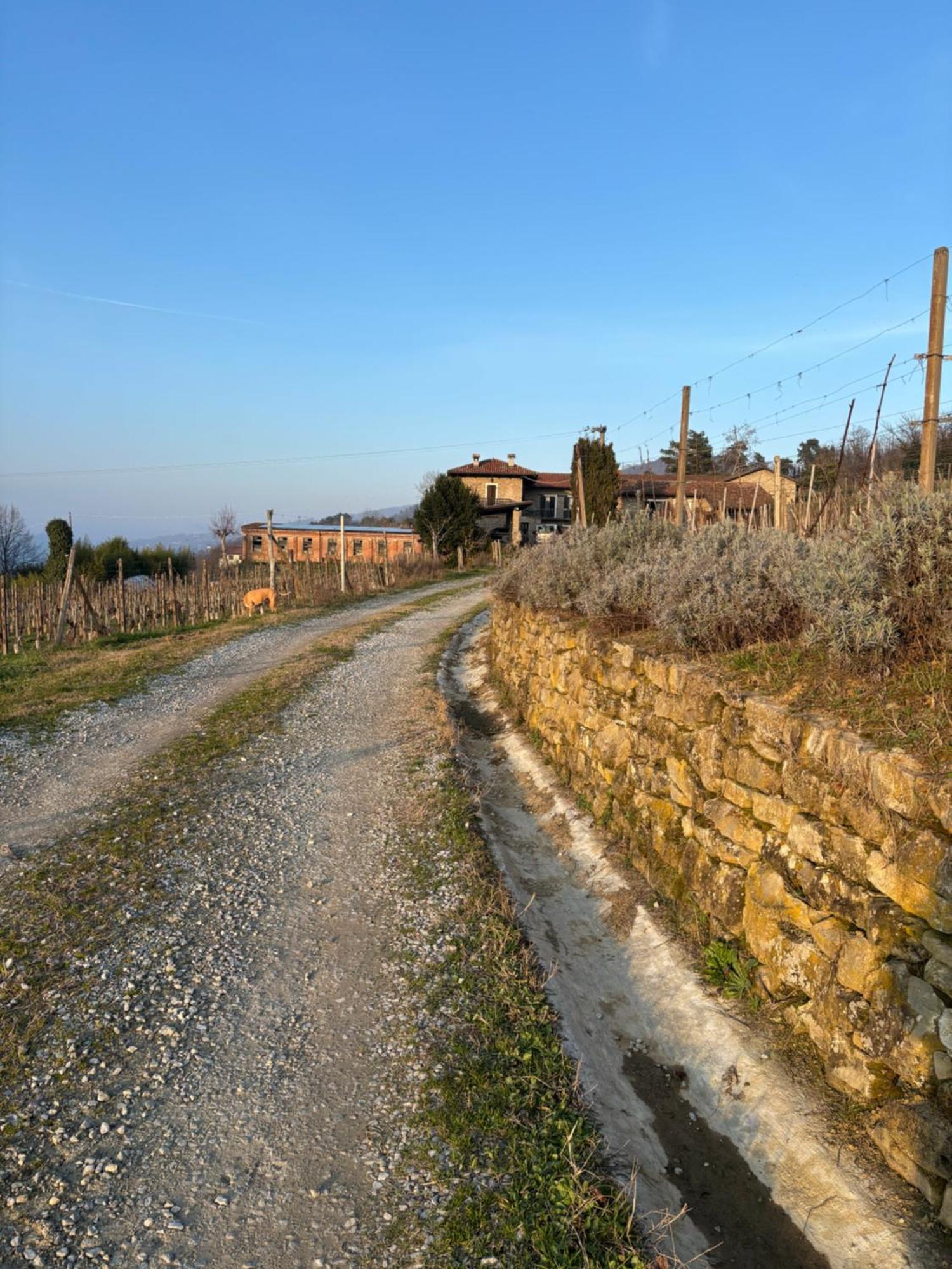 Agriturismo Tenuta San Giuseppe Cossano Belbo Εξωτερικό φωτογραφία