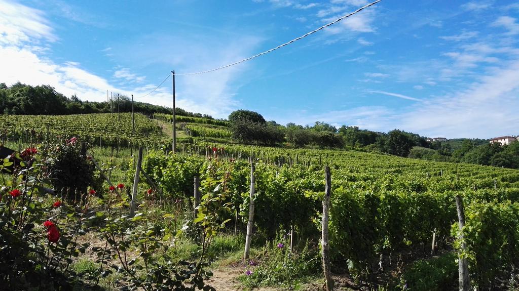 Agriturismo Tenuta San Giuseppe Cossano Belbo Εξωτερικό φωτογραφία
